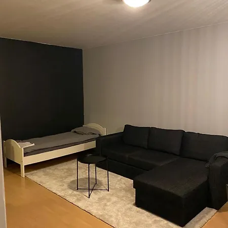 Spacious One-bedroom Near Downtown Apartment *