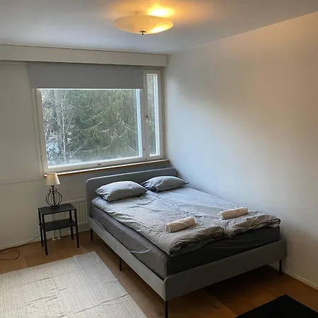 Spacious One-bedroom Near Downtown Apartment *